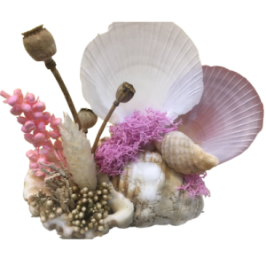 Seashell Gifts | Hamper Gift Addons